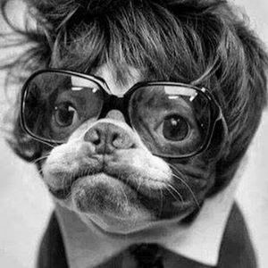 Meet your Posher, Janice